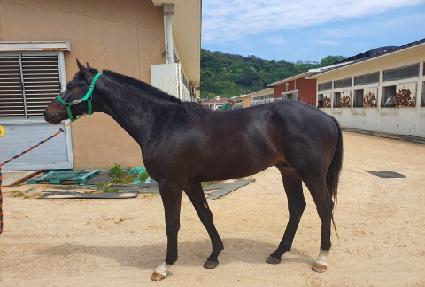 ���̴׺��� ����