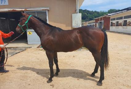 ���̽��� ����