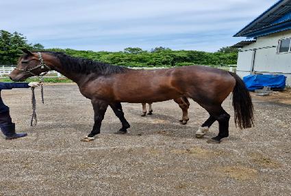 ��Ʈ��� ����