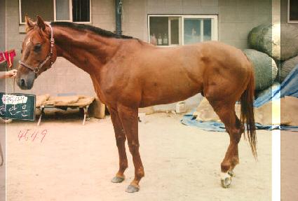 õ�ȹ� ����