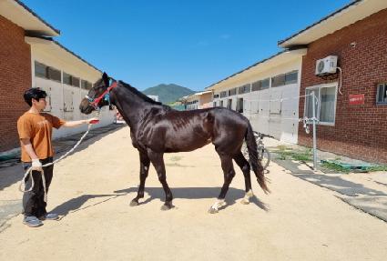 ���������� ����