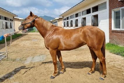 �帲�� ����