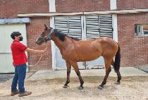 ����Ʈ������ (JUST BE HAPPY) ����