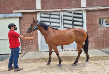 ����Ʈ������ ����