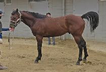 ����ָӴ� (BIDAN JUMEONI) ����