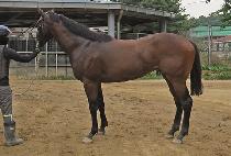 ���ε��� (FINE DAY) ����