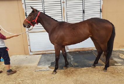 �������� ����