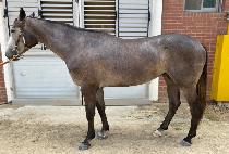 ���ž����Ʈ (RAON TAP POINT) ����