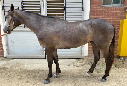 ���ž����Ʈ ����