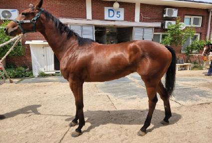 ���ɳ� ����