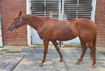 ��ũ�� (FOLK ROCK) ����