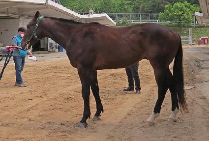 �������� ����