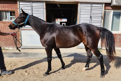 �¸��� ����