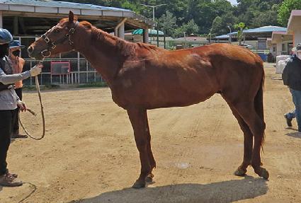 ��ջ轺 ����