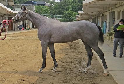 ���ۼ� ����