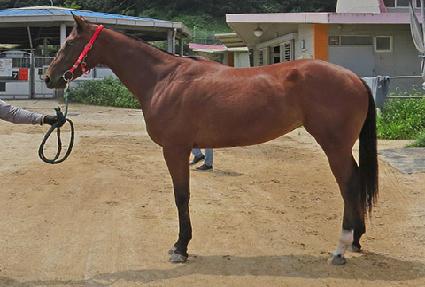 �����ѻ�� ����