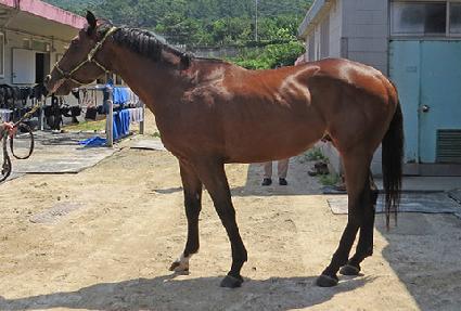 �ݾ����̾ ����