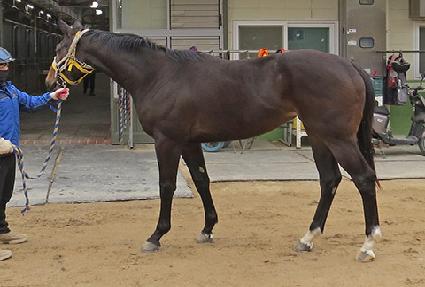 ǻ������ ����