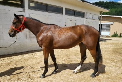 �������� ����