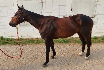 ��Ÿ ����