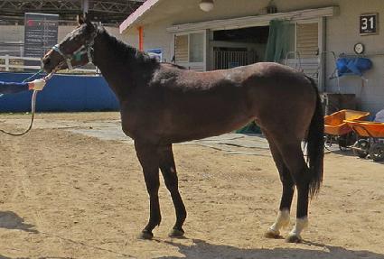 ���Ǽ��� ����