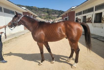 ���Ͽ��� ����