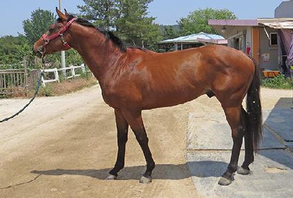 ���ͺ����̵� ����