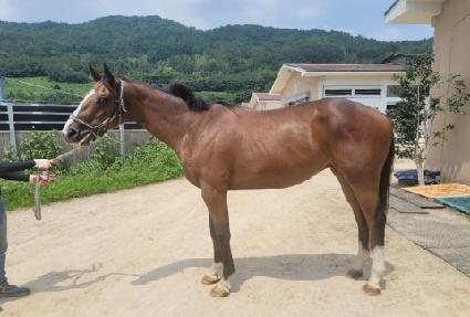 ��������̵� ����