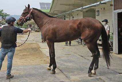 ���� ����