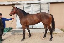 GEUMSU POWER picture