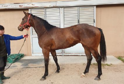 �ݼ��Ŀ� ����