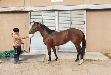 �׷���Ʈ�̽� ����