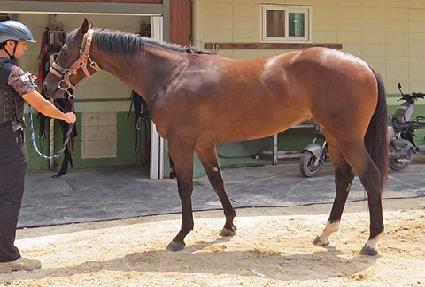 �۷ι���� ����