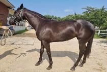 Ǫ������ (PURUEN YEOLJEONG) ����