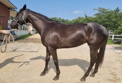 Ǫ������ ����