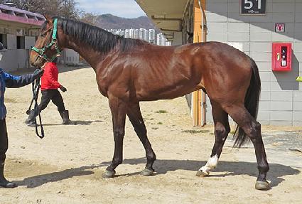 ����Ʈ�Ǹ� ����