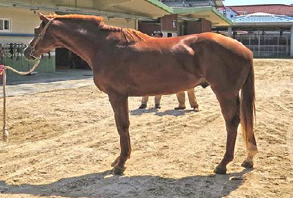 �����¾� ����