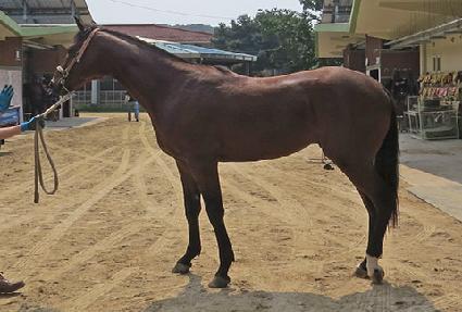 ������ ����