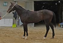 ���ø�Ʈ���� (COMPLETE LEVEL) ����