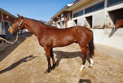 ��������ġ ����