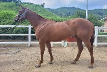 ����Ƽ�Ĵ� (DOCTOR TIFFANY) ����