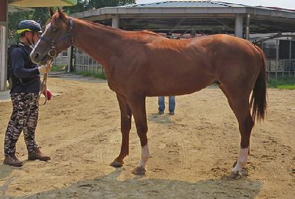 �帲ī�� ����