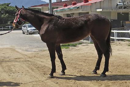 �����ູ ����