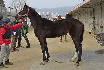 �帮�ӽ� (DREAMERS) ����