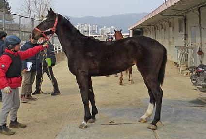 �帮�ӽ� ����