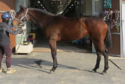 ���� ����