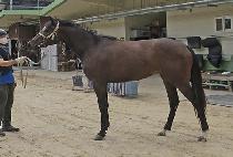 �۽�Ʈ���� (FIRST USER) ����