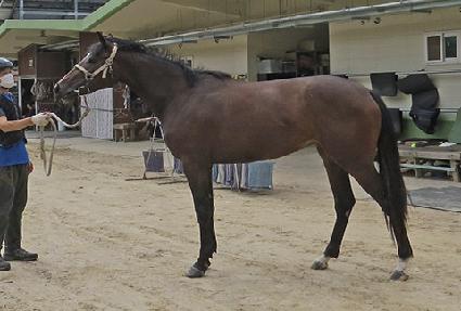 �۽�Ʈ���� ����