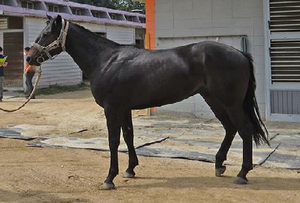 ���庰 ����