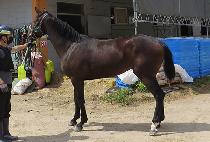 ������������ (PRINCESS LEIA) ����